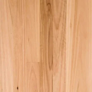 Coastal Blackbutt