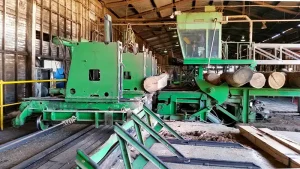 Marshall Notaras Hardwoods Grafton Timber Mill