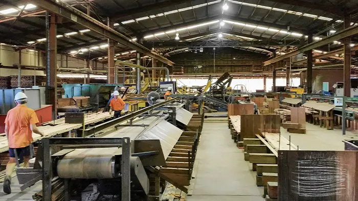 Marshall Notaras Hardwoods Timber Mill