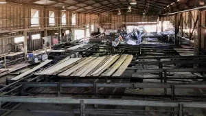 Marshall Notaras Hardwoods Grafton Timber Mill