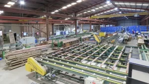 Marshall Notaras Hardwoods Grafton Timber Mill