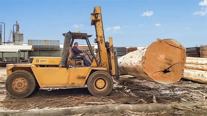 Marshall Notaras Hardwoods Timber Mill - Cat Forklift